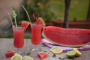 清涼一夏 自制水果冰沙與玻璃飲品，盡享健康美味